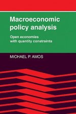 Macroeconomic Policy Analysis