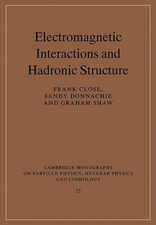 Electromagnetic Interactions and Hadronic Structure