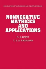 Nonnegative Matrices and Applications