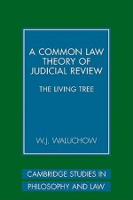 Common Law Theory of Judicial Review