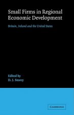 Small Firms in Regional Economic Development