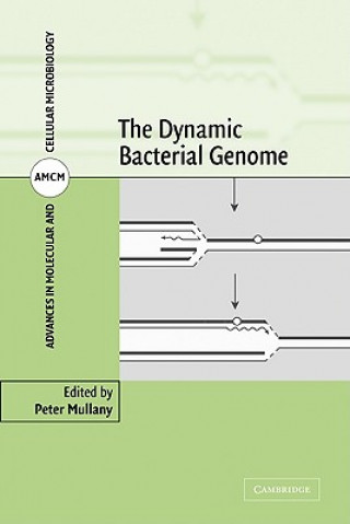 Dynamic Bacterial Genome