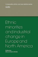 Ethnic Minorities and Industrial Change in Europe and North America