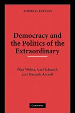 Democracy and the Politics of the Extraordinary