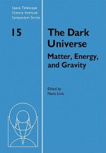 Dark Universe