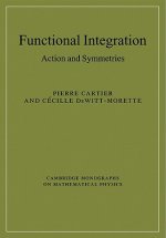 Functional Integration