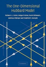 One-Dimensional Hubbard Model