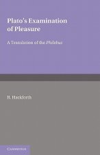 Plato's Examination of Pleasure