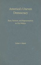 America's Uneven Democracy