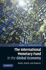 International Monetary Fund in the Global Economy