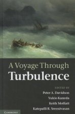 Voyage Through Turbulence