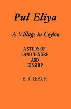 Pul Eliya