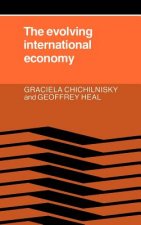 Evolving International Economy