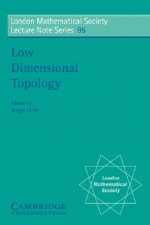 Low Dimensional Topology