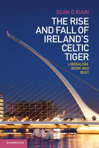 Rise and Fall of Ireland's Celtic Tiger