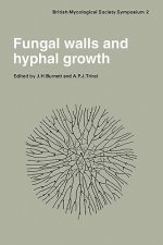 Fungal Walls and Hyphal Growth
