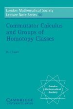 Commutator Calculus and Groups of Homotopy Classes