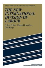 New International Division of Labour