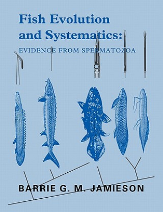 Fish Evolution and Systematics: Evidence from Spermatozoa