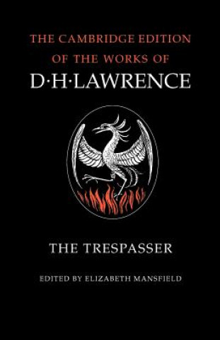 Trespasser