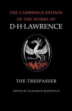 Trespasser