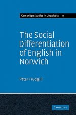 Social Differentiation of English in Norwich