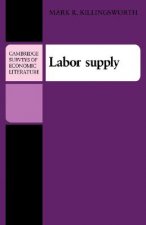 Labor Supply