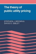 Theory of Public Utility Pricing