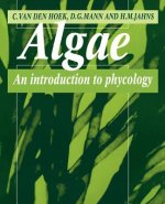 Algae