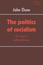 Politics of Socialism