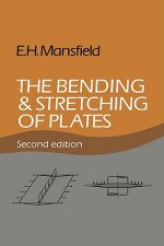 Bending and Stretching of Plates