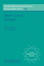Skew Linear Groups