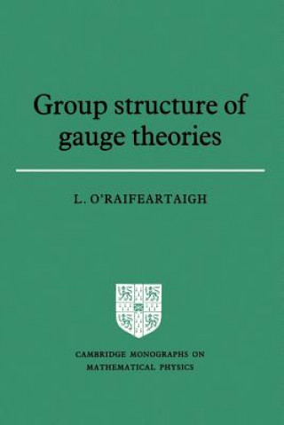 Group Structure of Gauge Theories