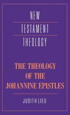 Theology of the Johannine Epistles