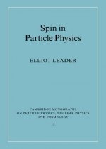 Spin in Particle Physics