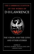 Virgin and the Gipsy and Other Stories