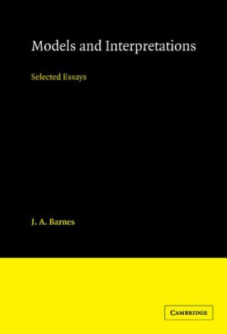 Models and Interpretations