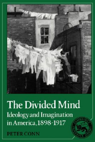 Divided Mind