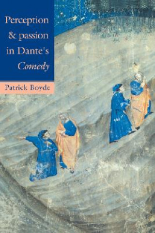 Perception and Passion in Dante's Comedy