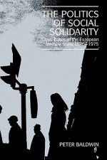 Politics of Social Solidarity