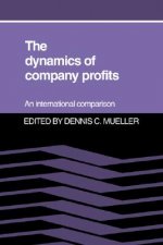 Dynamics of Company Profits