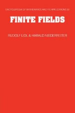 Finite Fields