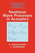 Nonlinear Wave Processes in Acoustics