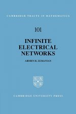 Infinite Electrical Networks
