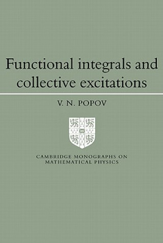 Functional Integrals and Collective Excitations