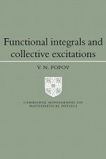 Functional Integrals and Collective Excitations