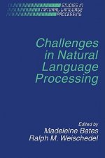 Challenges in Natural Language Processing