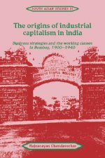 Origins of Industrial Capitalism in India