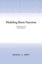 Modeling Brain Function