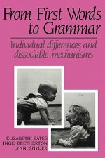 From First Words to Grammar